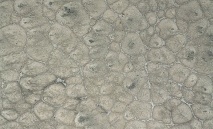 Floor Samples